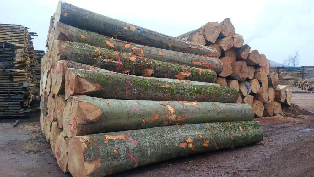 Why dRMM’s new knuckle joints using homegrown hardwood are game-changing for engineered timber